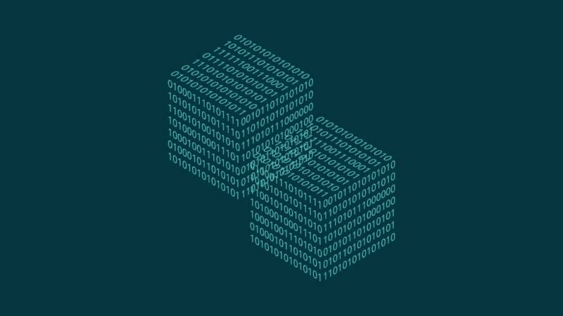 临安市信创改造：网络应用开发流程标准化的核心路径与实践